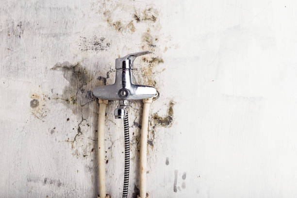 Best Mold Damage Repair  in Eagle River, WI