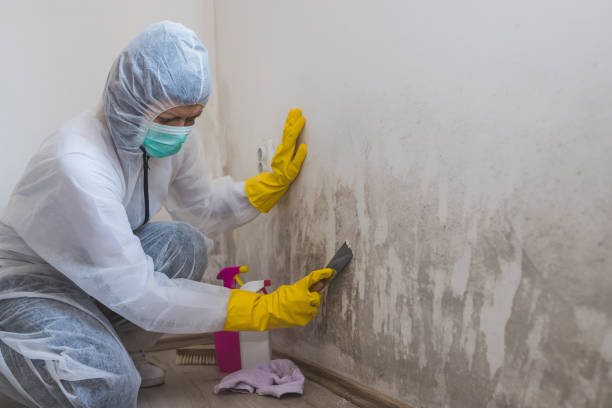 Best Crawl Space Mold Removal  in Eagle River, WI